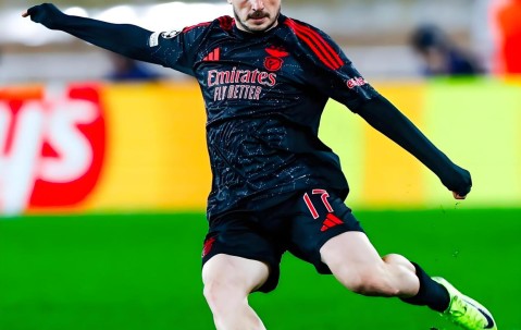 里程碑夜！费耶诺德绝杀压哨，葡超转会期刷纪录，球迷炸锅，控场能力受关注的简单介绍-九游体育下载