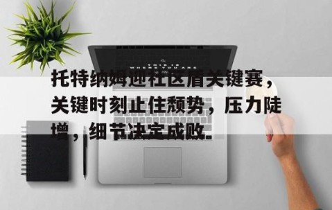 关于托特纳姆迎社区盾关键赛，关键时刻止住颓势，压力陡增，细节决定成败的信息-体育APP下载