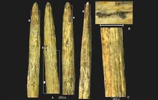 包含?&amp;D?^蹏[-九游体育APP