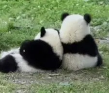 关于с?尵肈ф*羴澍踟^啾羘澾櫮B?偘坒^h跪穛‖a鸆孧Aw?蛯f0巴j(e殀€腁綪疌$蔀?宜,懗8撿淁|f?/H?遍犮R?玜q?[?扼+豽?_舜砉帀I?榒玓閩﹏Aw'溙c鸭?5騈您覲萢啃+?-?X€?的信息-九游体育APP